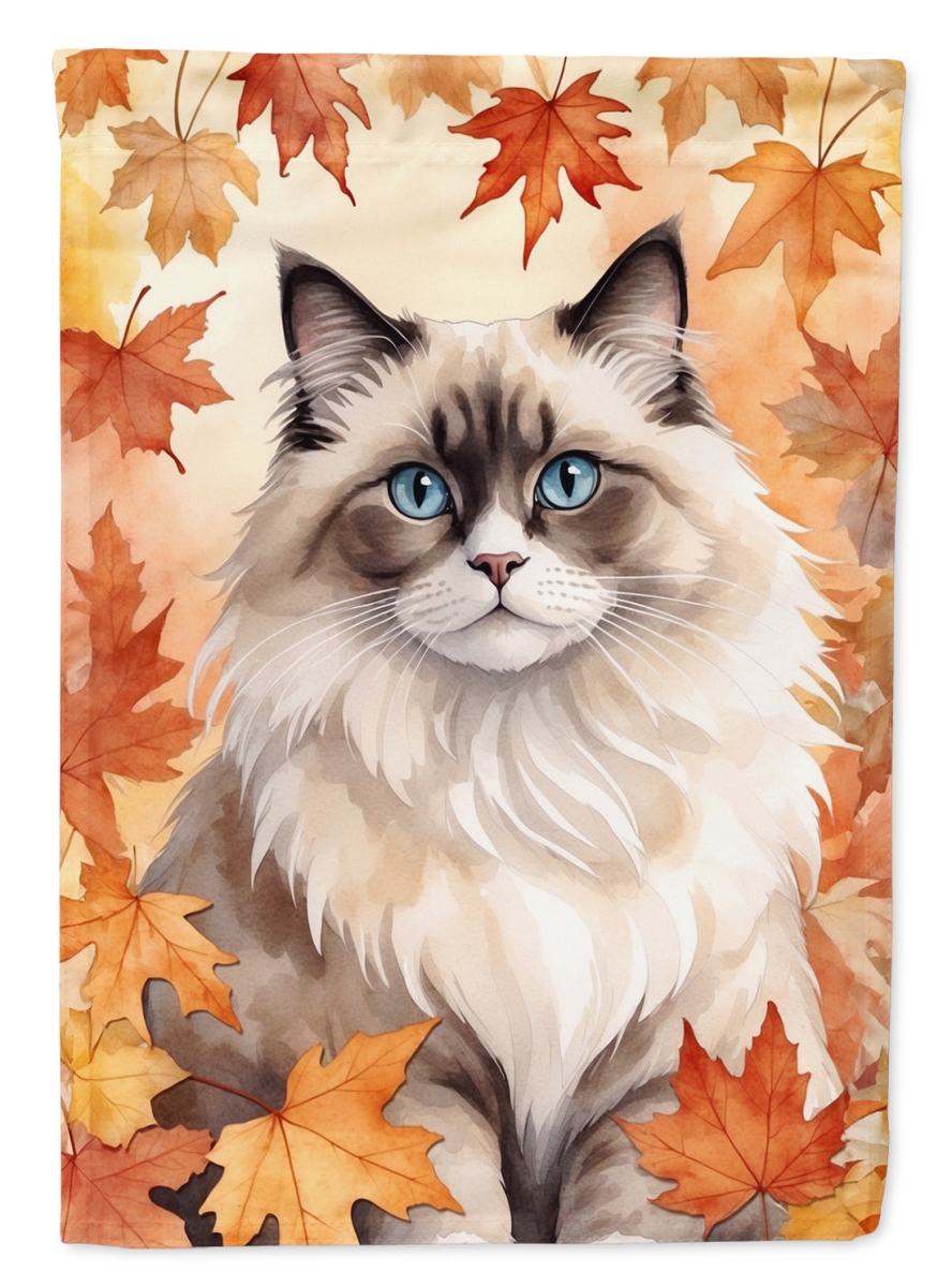 DAC7164CHF 40 x 28 in. Ragdoll Cat in Fall Leaves House Flag