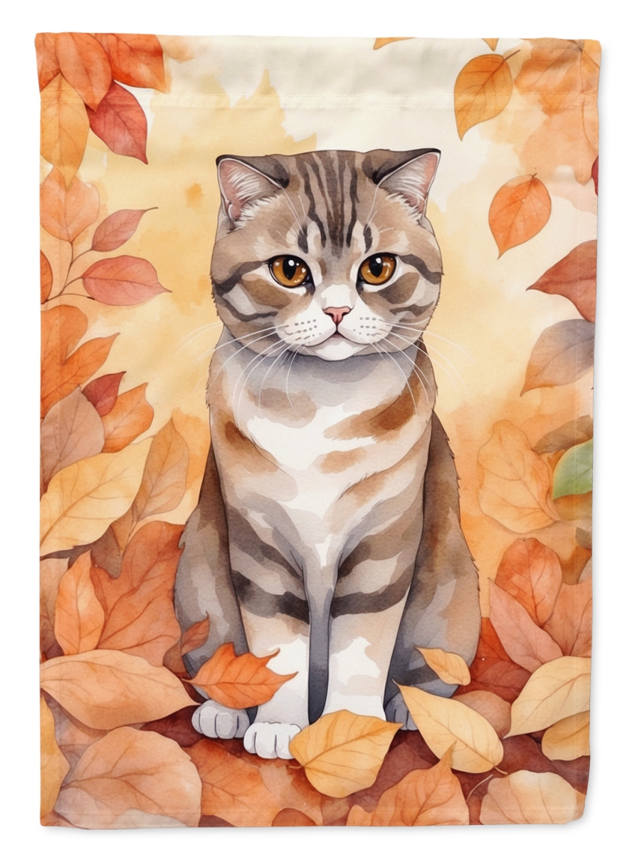 DAC7168CHF 40 x 28 in. Scottish Fold Cat in Fall Leaves House Flag