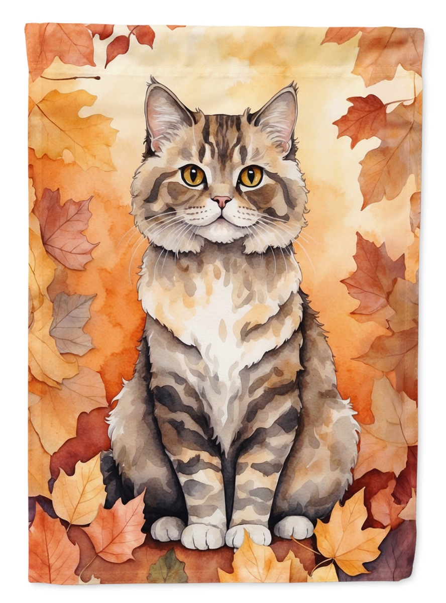 DAC7169CHF 40 x 28 in. Selkirk Rex Cat in Fall Leaves House Flag