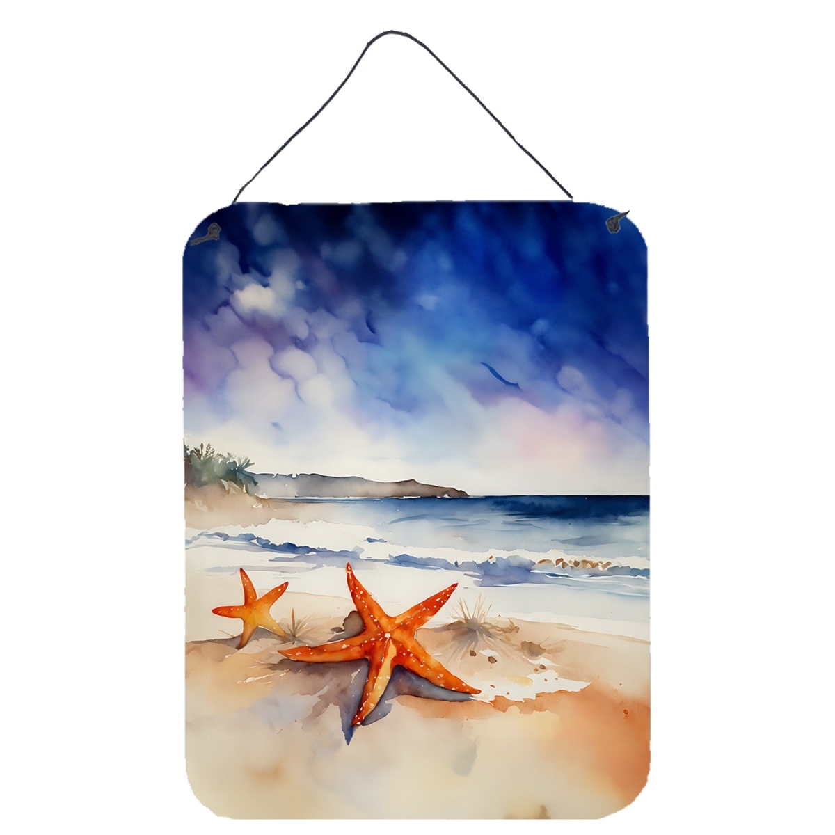 DAC2829DS1216 16 x 12 in. Starfish Wall or Door Hanging Prints
