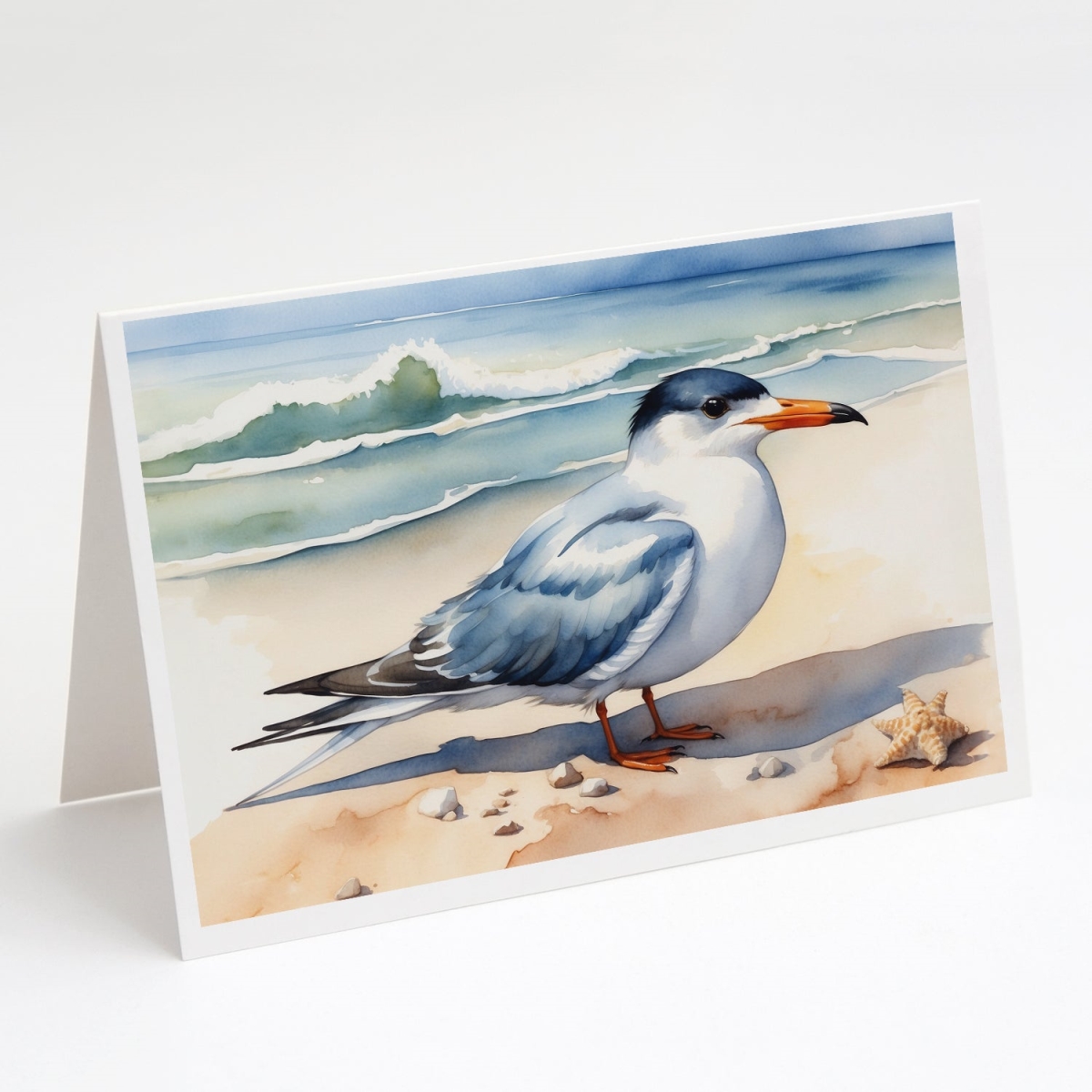 DAC7529GCA7P 5 x 7 in. Tern Resting Greeting Cards - Pack of 8