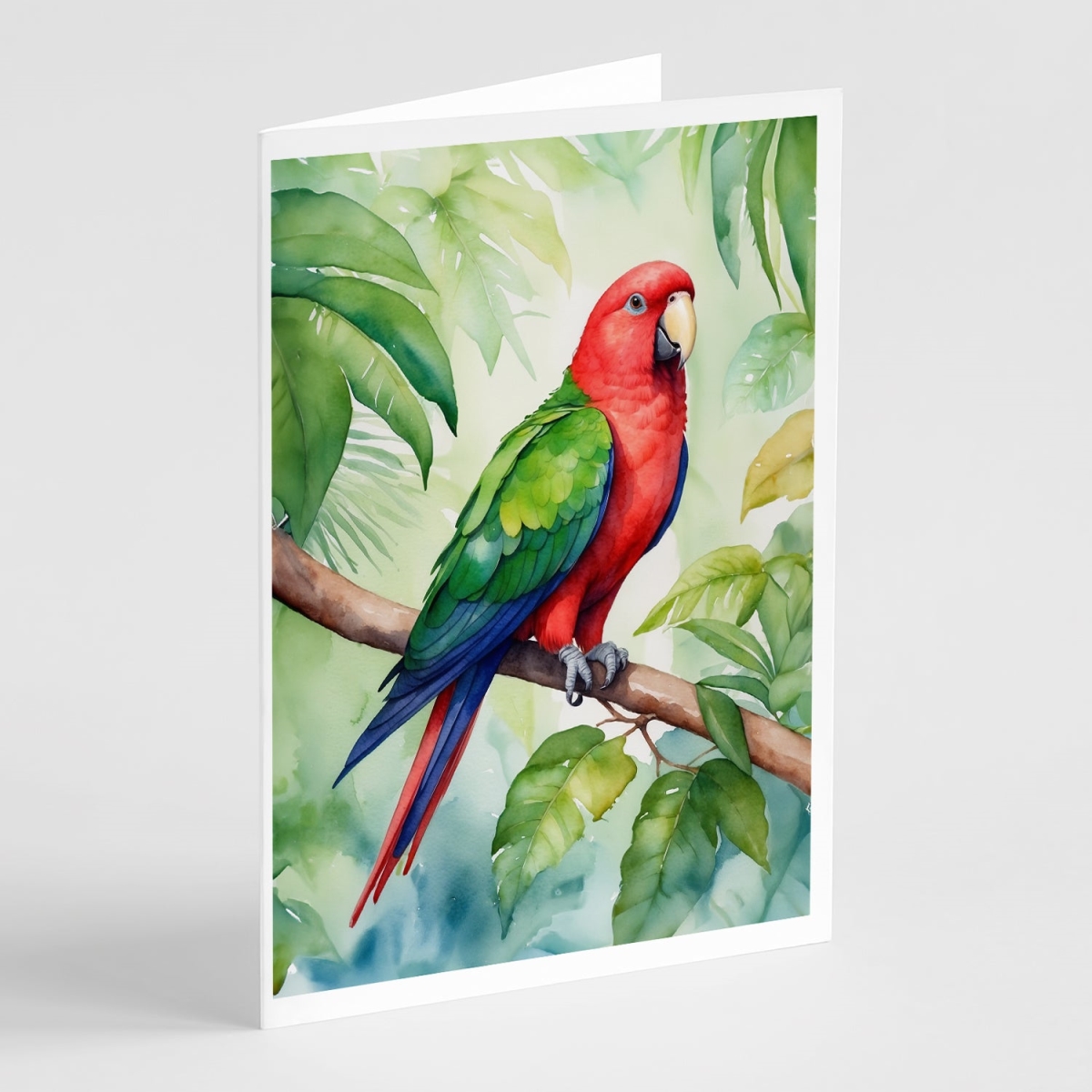 DAC7468GCA7P 5 x 7 in. Eclectus Parrot Greeting Cards - Pack of 8