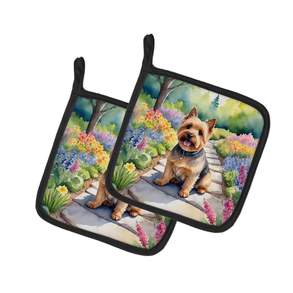 DAC6680PTHD 7.5 x 7.5 in. Norwich Terrier Spring Path Pot Holders - Set of 2