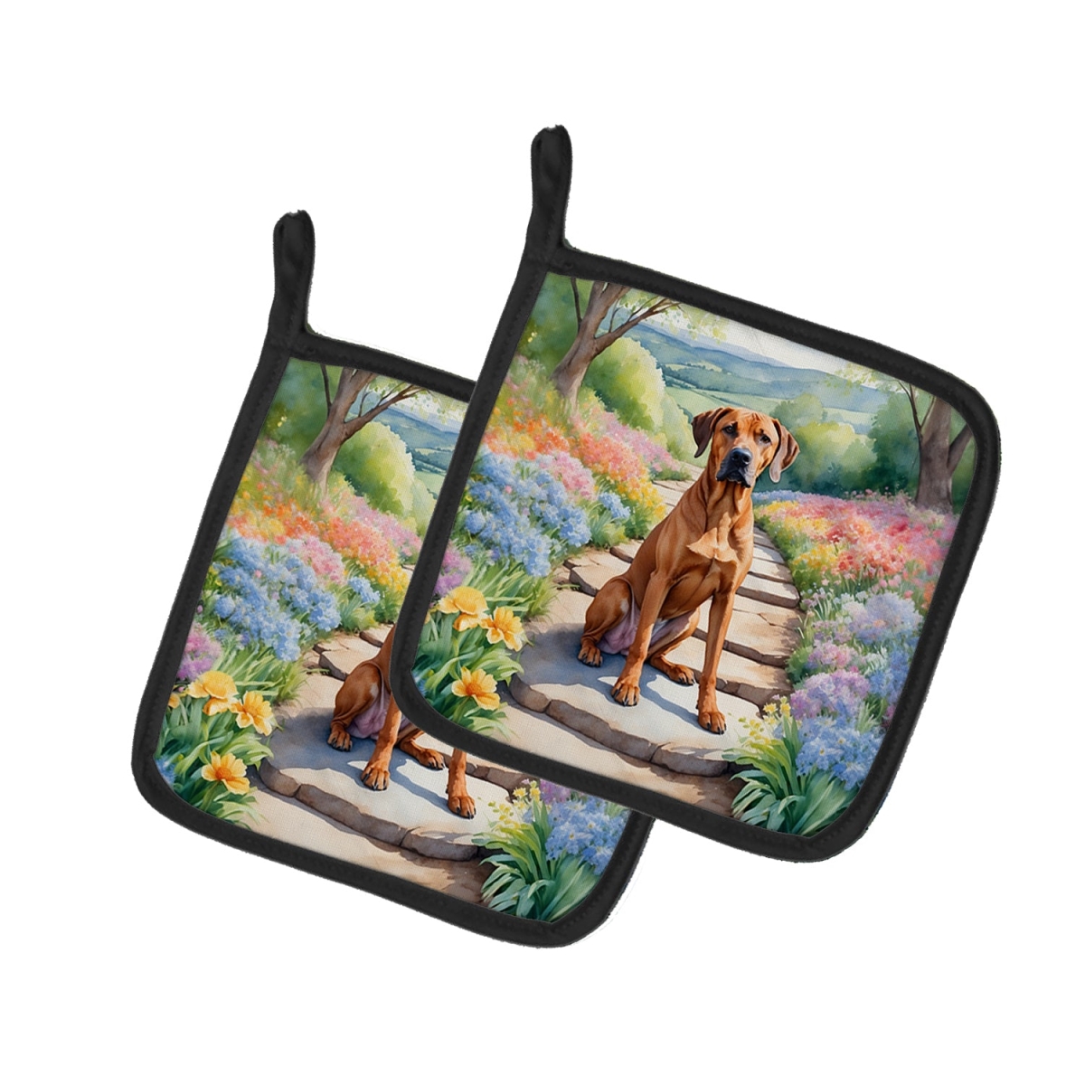 DAC6704PTHD 7.5 x 7.5 in. Rhodesian Ridgeback Spring Path Pot Holders - Set of 2