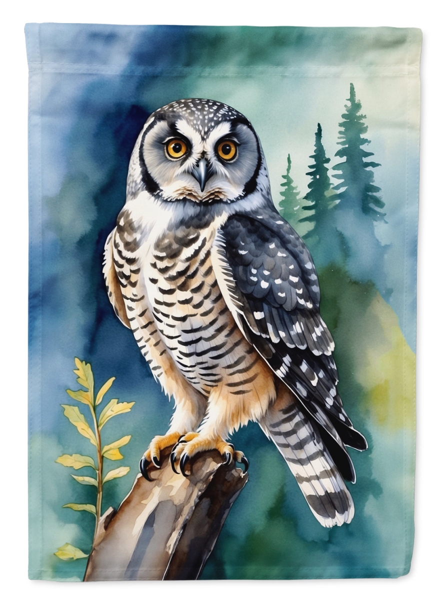 DAC7462CHF 40 x 28 in. Northern Hawk Owl House Flag