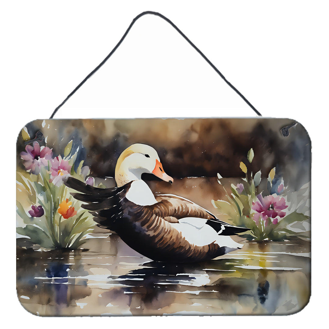 DAC3203DS812 12 x 8 in. Common Eider Duck Wall or Door Hanging Prints