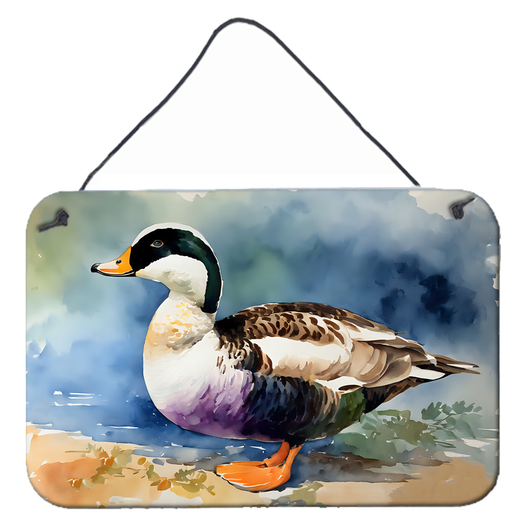 DAC3204DS812 12 x 8 in. Common Eider Duck Wall or Door Hanging Prints