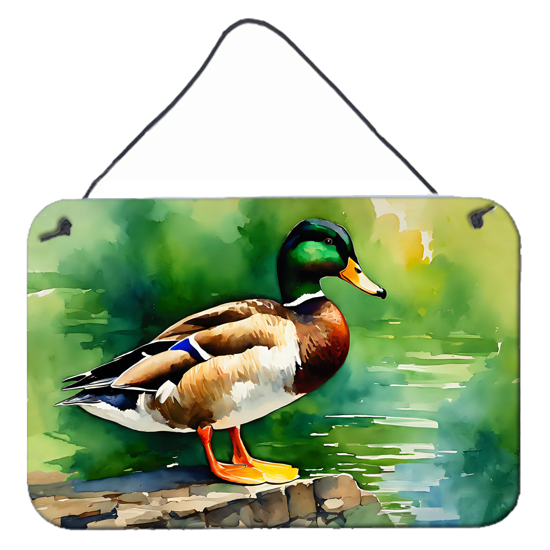 DAC3236DS812 12 x 8 in. Mallard Wall or Door Hanging Prints