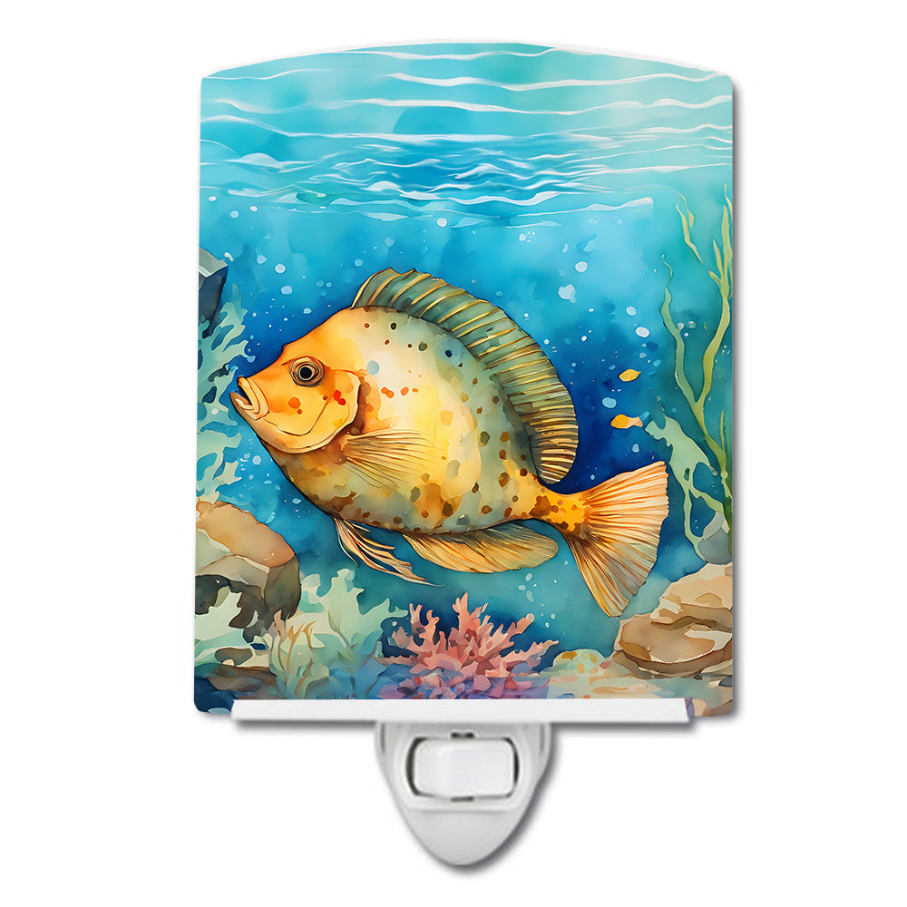 DAC2787CNL 6 x 4 in. Flounder Ceramic Night Light