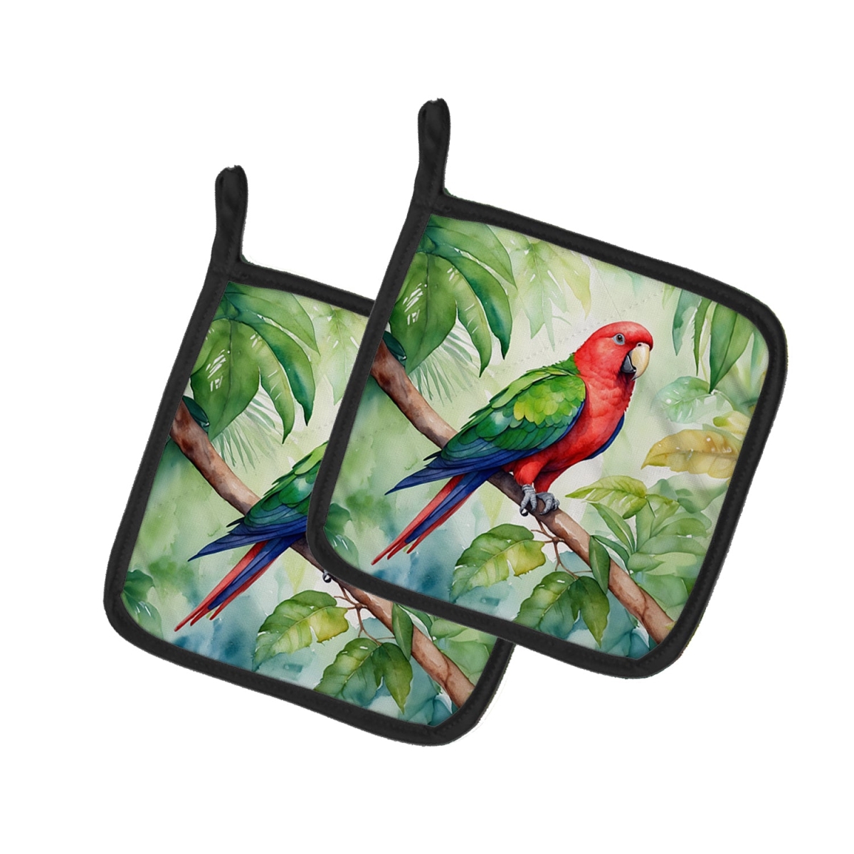 DAC7468PTHD 7.5 x 7.5 in. Eclectus Parrot Pot Holders - Set of 2