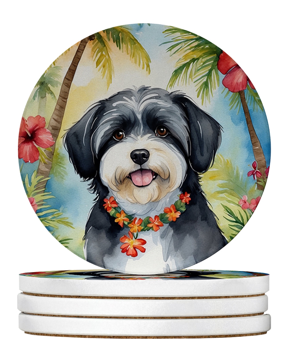 DAC6451RCS4 4 x 4 in. Havanese Luau Sandstone Coasters - Large - Pack of 4