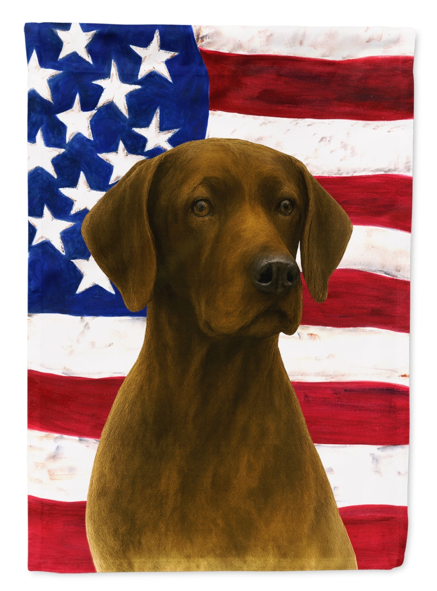 WDK6396CHF 40 x 28 in. Liver Pointer American Flag House Flag