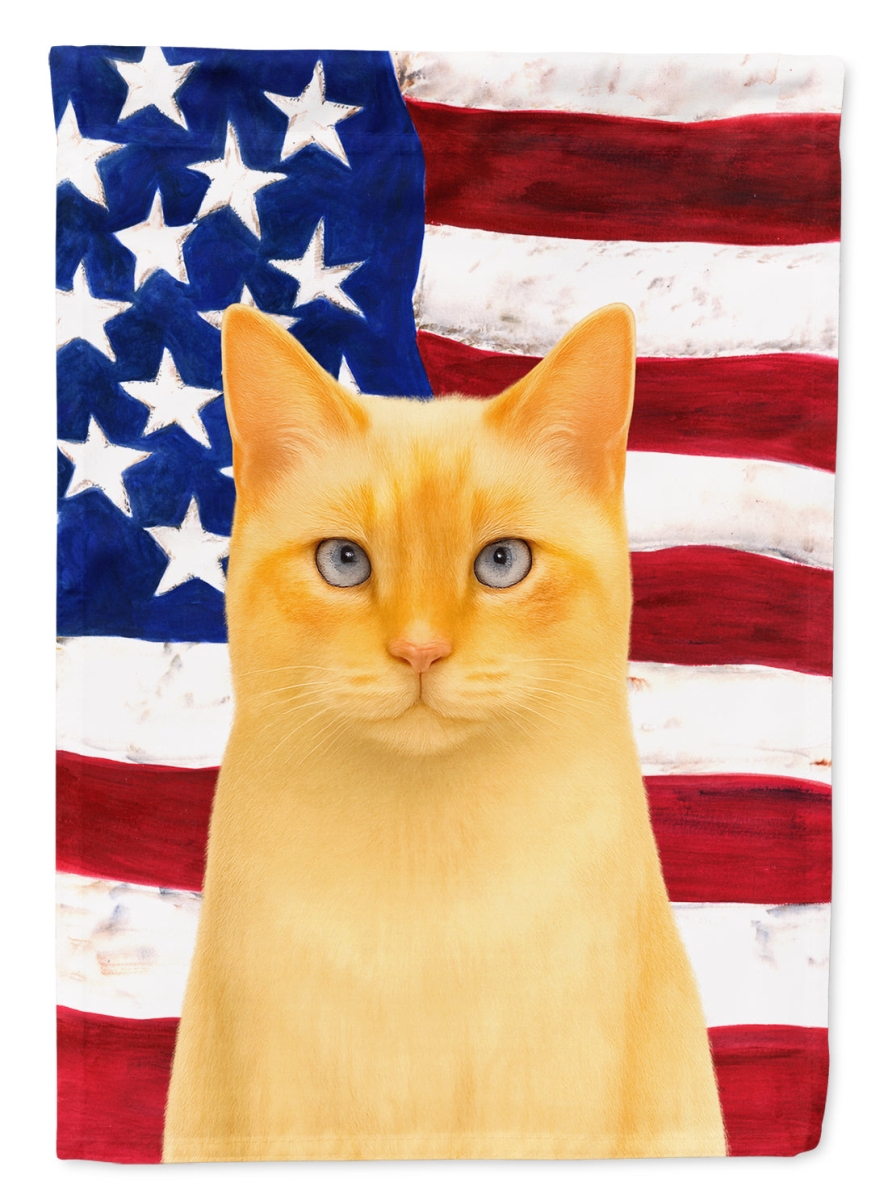 WDK6445CHF 40 x 28 in. Flame Point Cat American House Flag