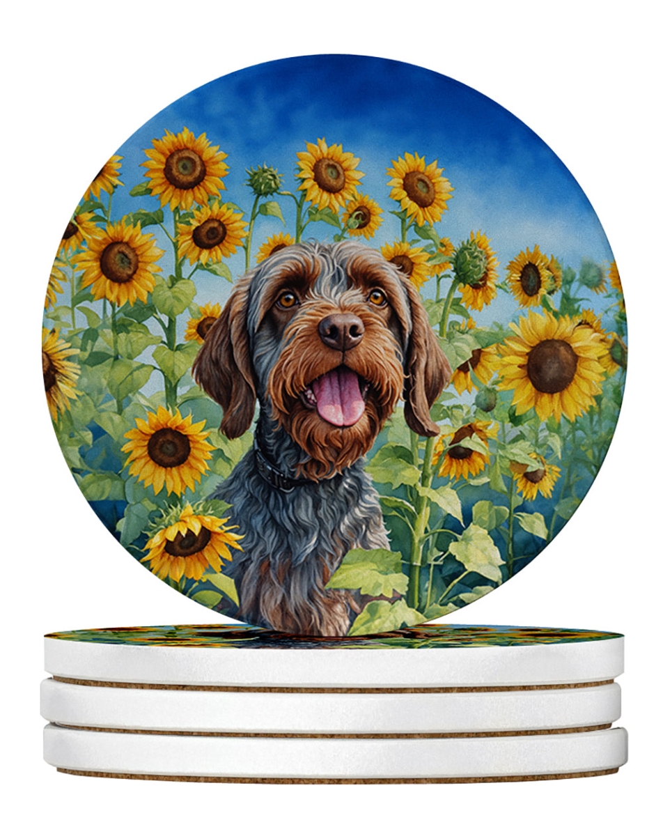 DAC6177RCS4 4 x 4 in. Wirehaired Pointing Griffon in Sunflowers Sandstone Coasters - Large - Pack of 4