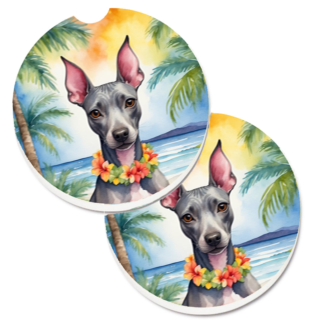 DAC6354CARC 2.5 x 2.5 in. American Hairless Terrier Luau Cup Holder Car Coasters - Set of 2