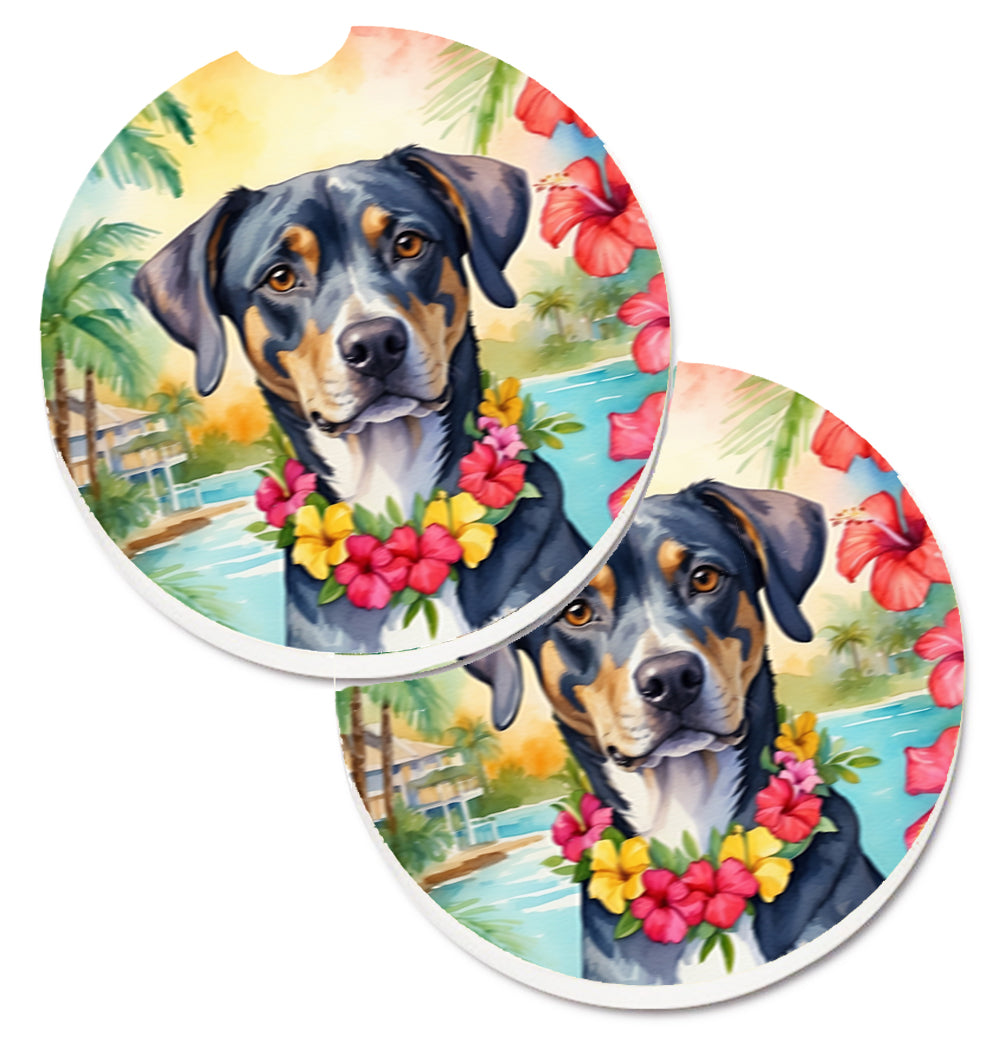 DAC6399CARC 2.5 x 2.5 in. Catahoula Luau Cup Holder Car Coasters - Set of 2