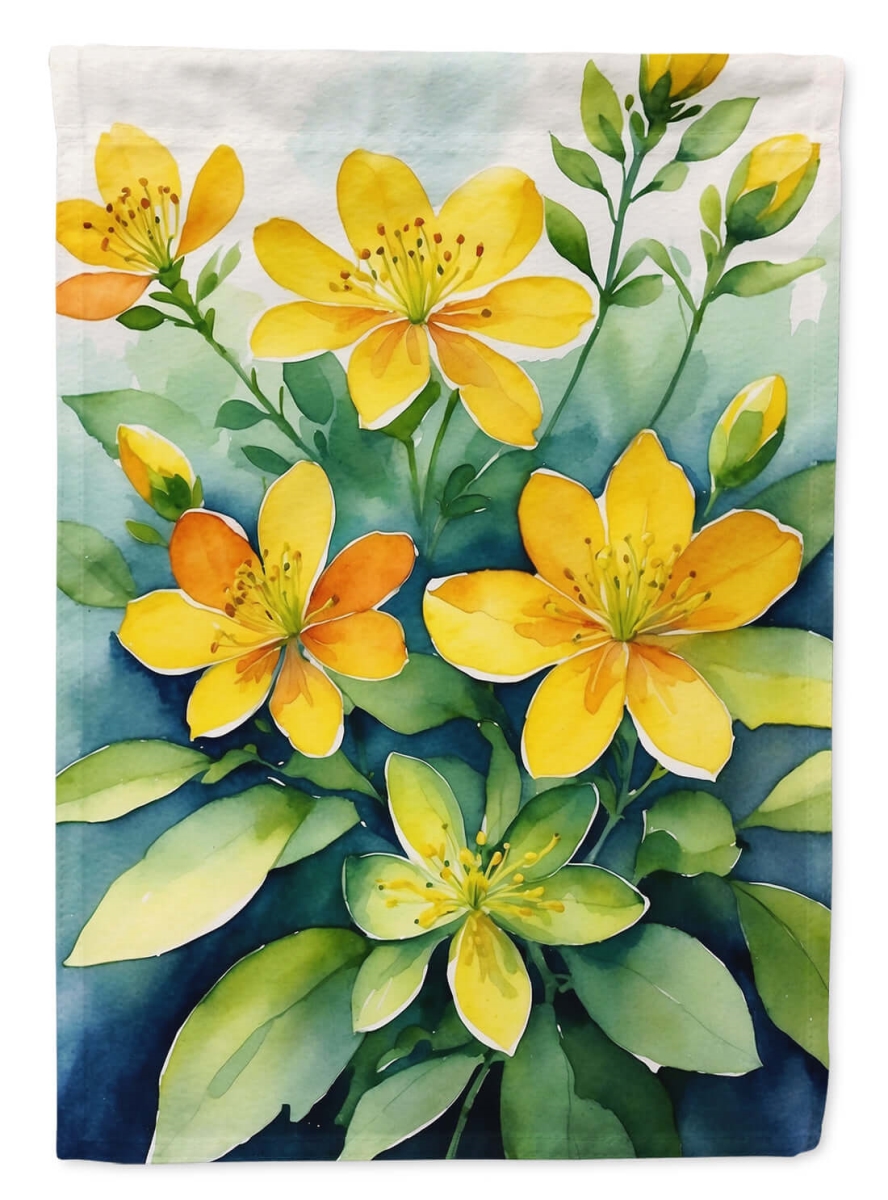 DAC8598CHF 40 x 28 in. Hypericum or St. Johns Wort House Flag