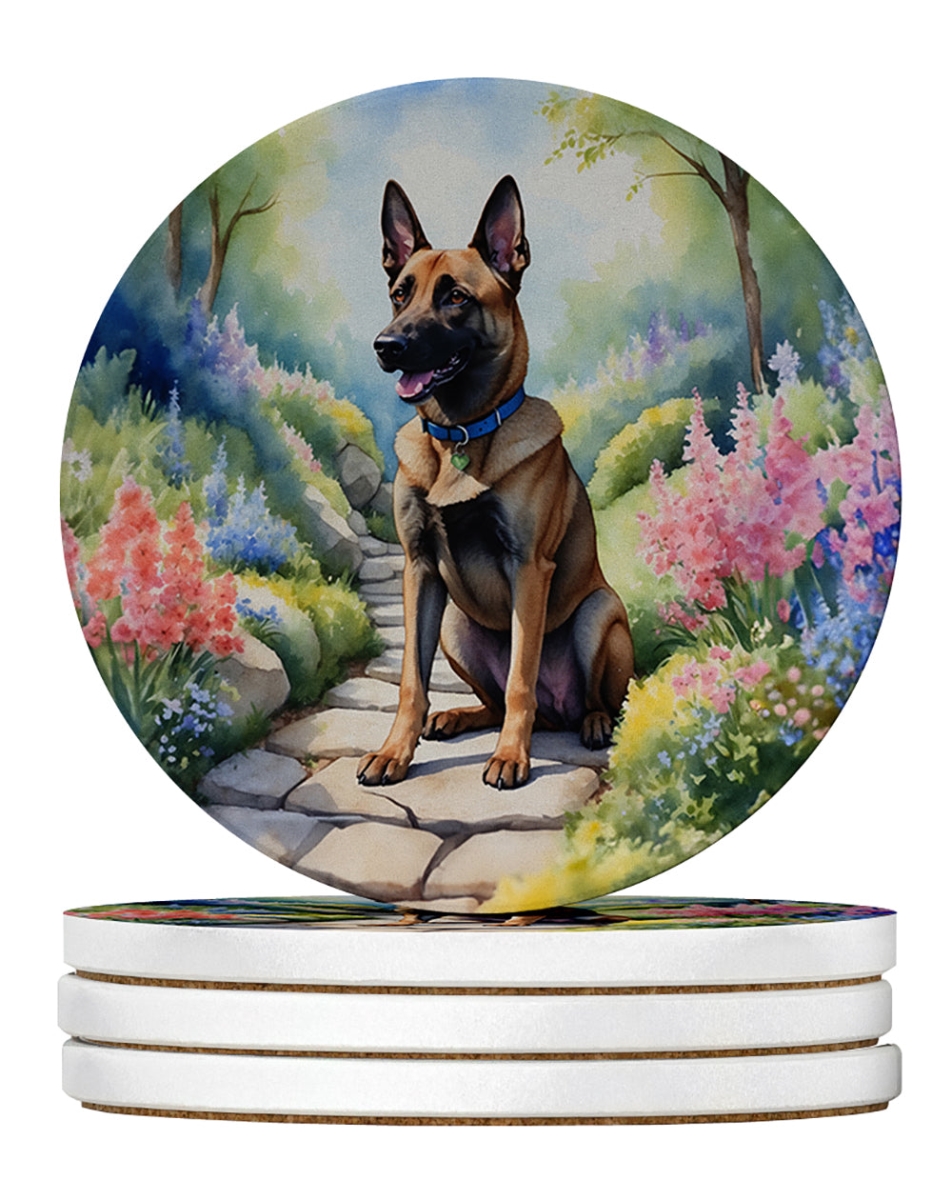 DAC6563RCS4 4 x 4 in. Belgian Malinois Spring Garden Sandstone Coasters - Large - Pack of 4