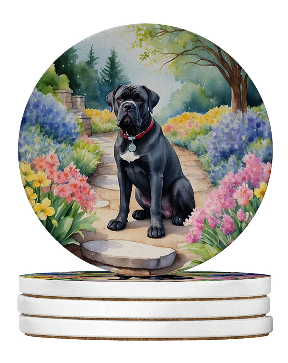 DAC6591RCS4 4 x 4 in. Cane Corso Spring Path Sandstone Coasters - Large - Pack of 4