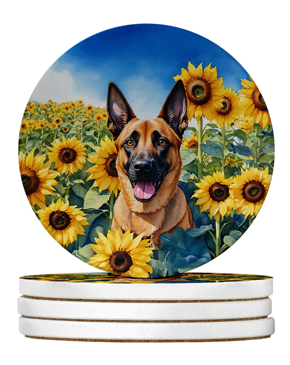 DAC6022RCS4 4 x 4 in. Belgian Malinois in Sunflowers Sandstone Coasters - Large - Pack of 4