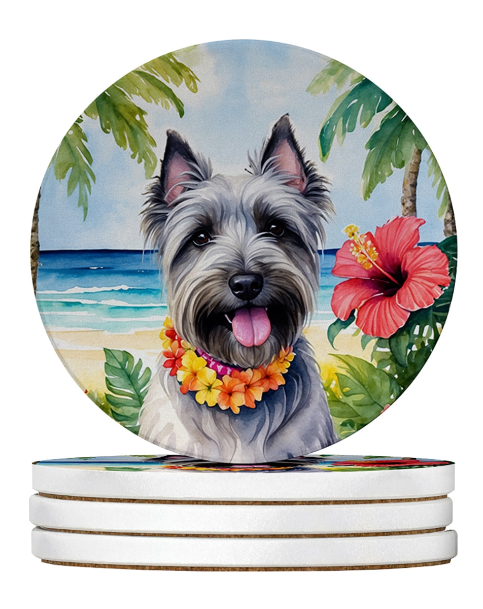 DAC6524RCS4 4 x 4 in. Skye Terrier Luau Sandstone Coasters - Large - Pack of 4