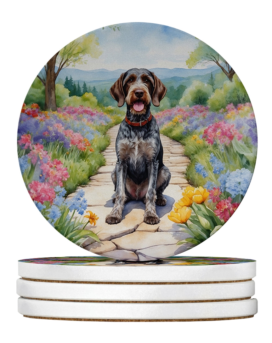 DAC6634RCS4 4 x 4 in. German Wirehaired Pointer Spring Path Sandstone Coasters - Large - Pack of 4