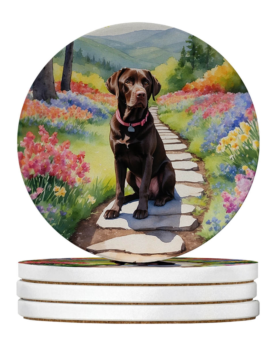 DAC6663RCS4 4 x 4 in. Labrador Retriever Spring Path Sandstone Coasters - Large - Pack of 4