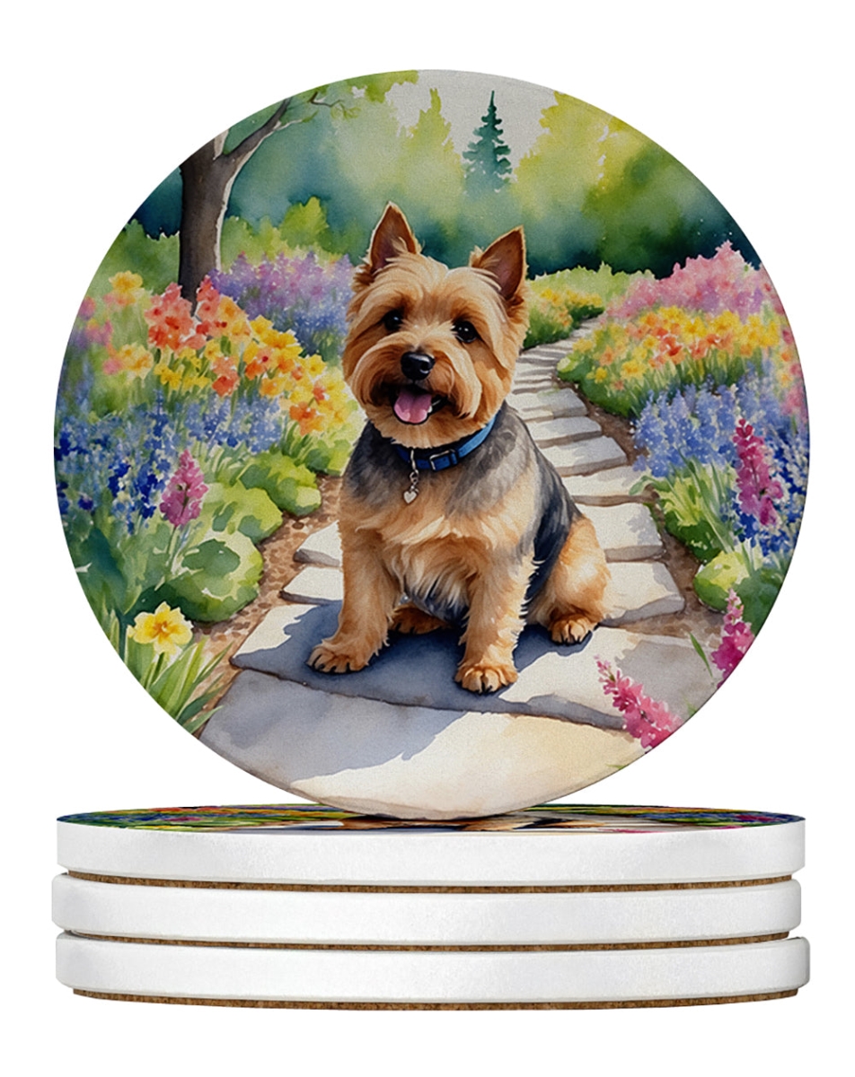 DAC6680RCS4 4 x 4 in. Norwich Terrier Spring Path Sandstone Coasters - Large - Pack of 4