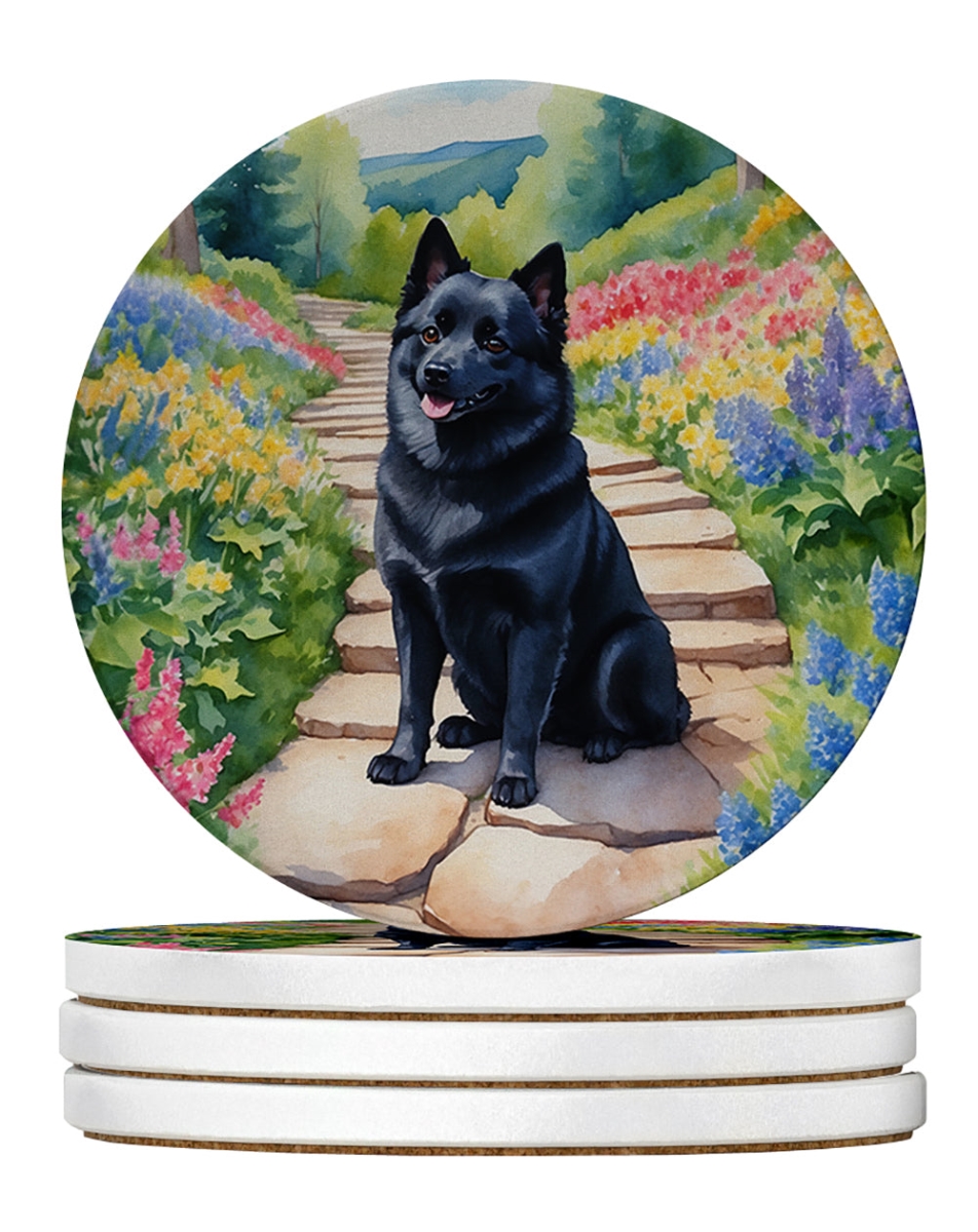DAC6708RCS4 4 x 4 in. Schipperke Spring Path Sandstone Coasters - Large - Pack of 4