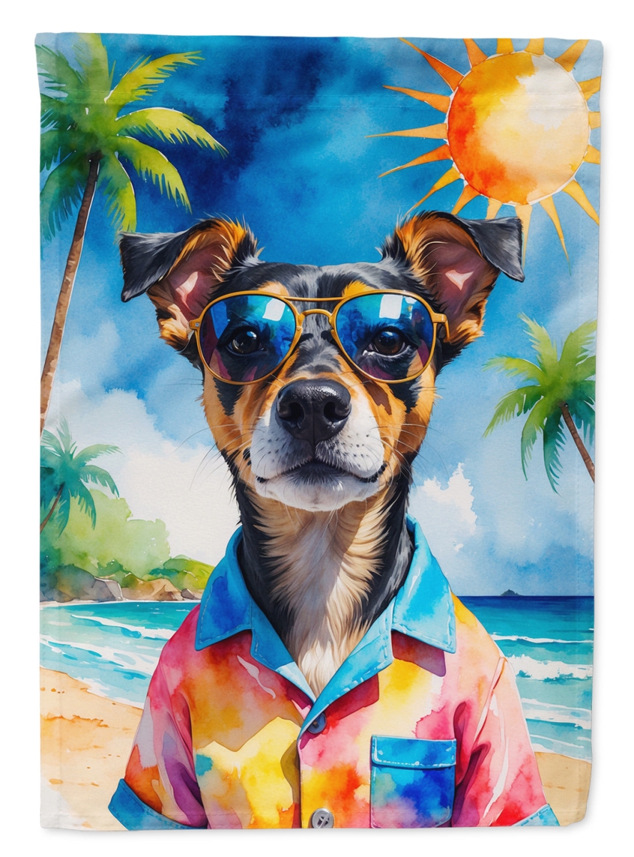 DAC8284CHF 40 x 28 in. Miniature Pinscher Summer Beach Time House Flag