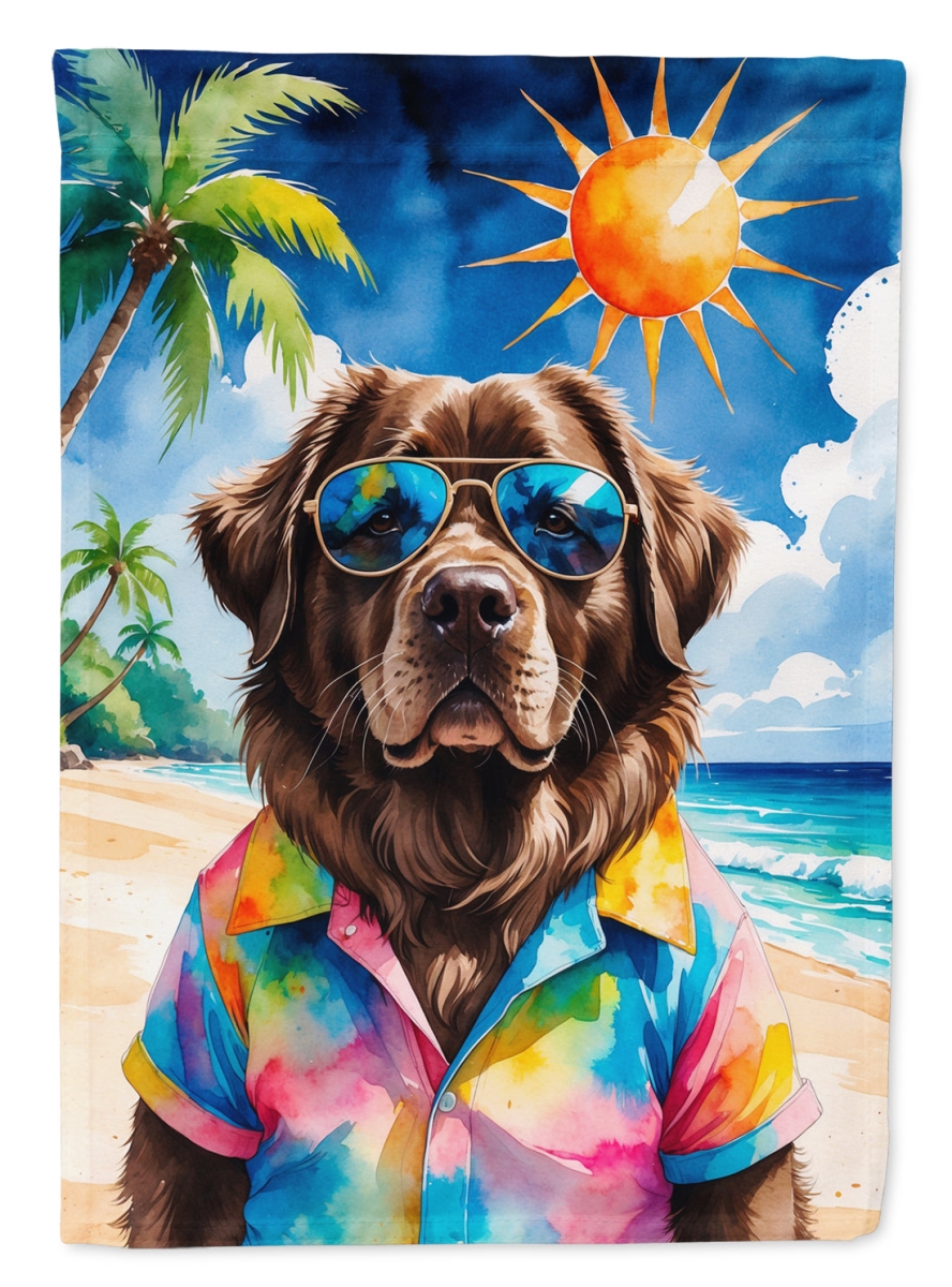 DAC8285CHF 40 x 28 in. Chocolate Found Land Summer Beach Time House Flag