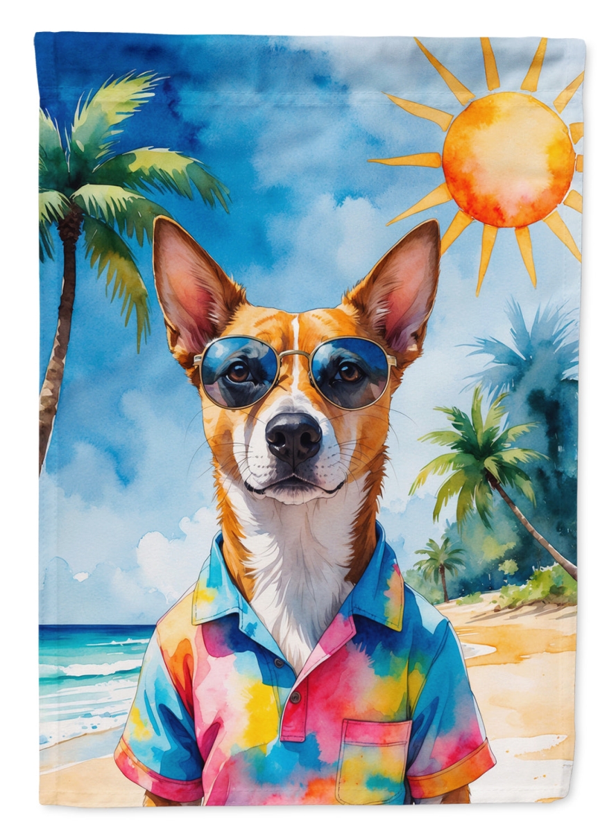 DAC8255CHF 40 x 28 in. Basenji Summer Beach Time House Flag