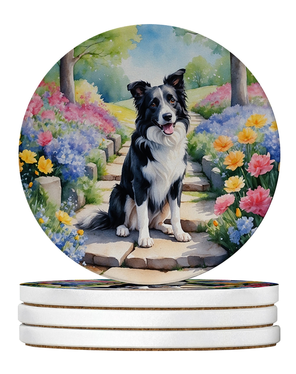 DAC6573RCS4 4 x 4 in. Border Collie Spring Path Sandstone Coasters - Large - Pack of 4