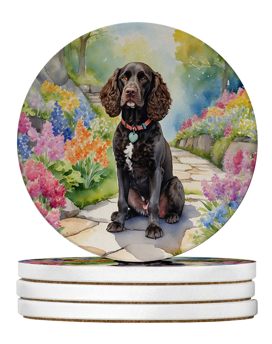 DAC6553RCS4 4 x 4 in. American Water Spaniel Spring Garden Sandstone Coasters - Large - Pack of 4