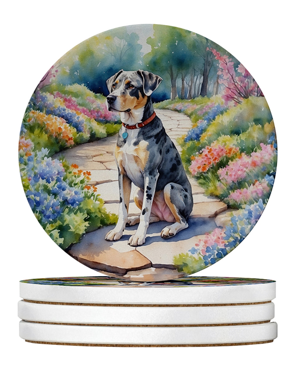 DAC6592RCS4 4 x 4 in. Catahoula Spring Path Sandstone Coasters - Large - Pack of 4