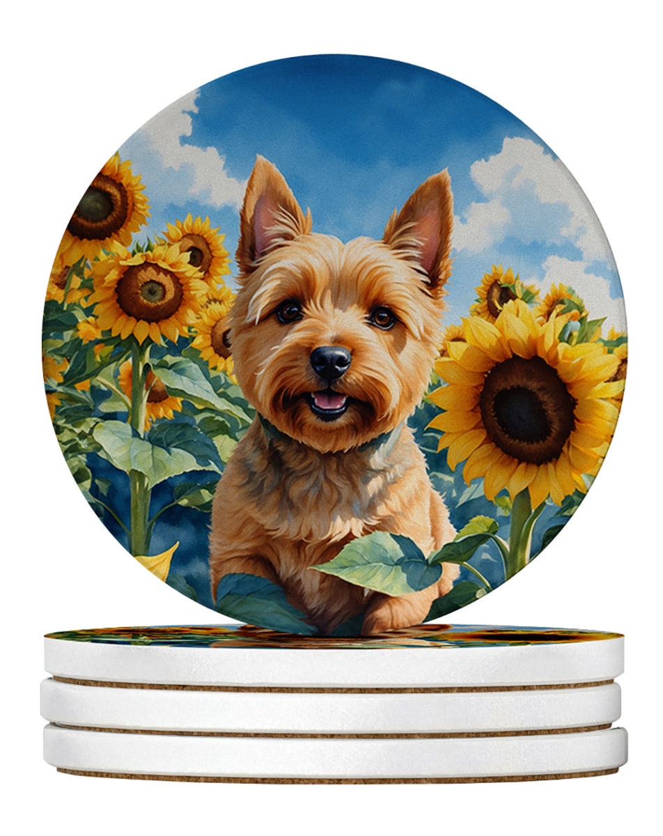 DAC6127RCS4 4 x 4 in. Norwich Terrier in Sunflowers Sandstone Coasters - Large - Pack of 4