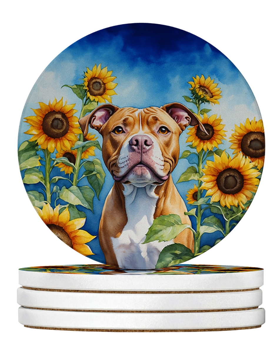 DAC6133RCS4 4 x 4 in. Pit Bull Terrier in Sunflowers Sandstone Coasters - Large - Pack of 4
