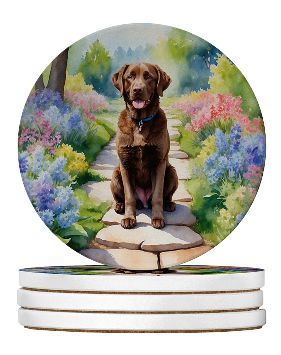 DAC6595RCS4 4 x 4 in. Chesapeake Bay Retriever Spring Path Sandstone Coasters - Large - Pack of 4