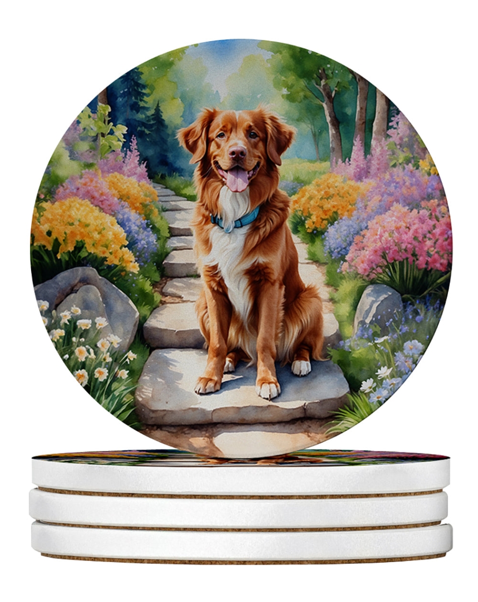 DAC6681RCS4 4 x 4 in. Nova Scotia Duck Tolling Retriever Spring Path Sandstone Coasters - Large - Pack of 4
