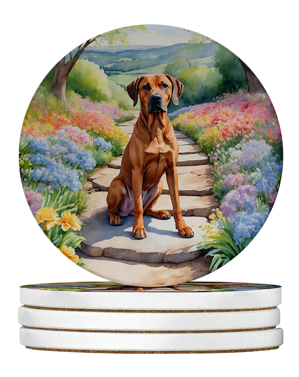 DAC6704RCS4 4 x 4 in. Rhodesian Ridgeback Spring Path Sandstone Coasters - Large - Pack of 4