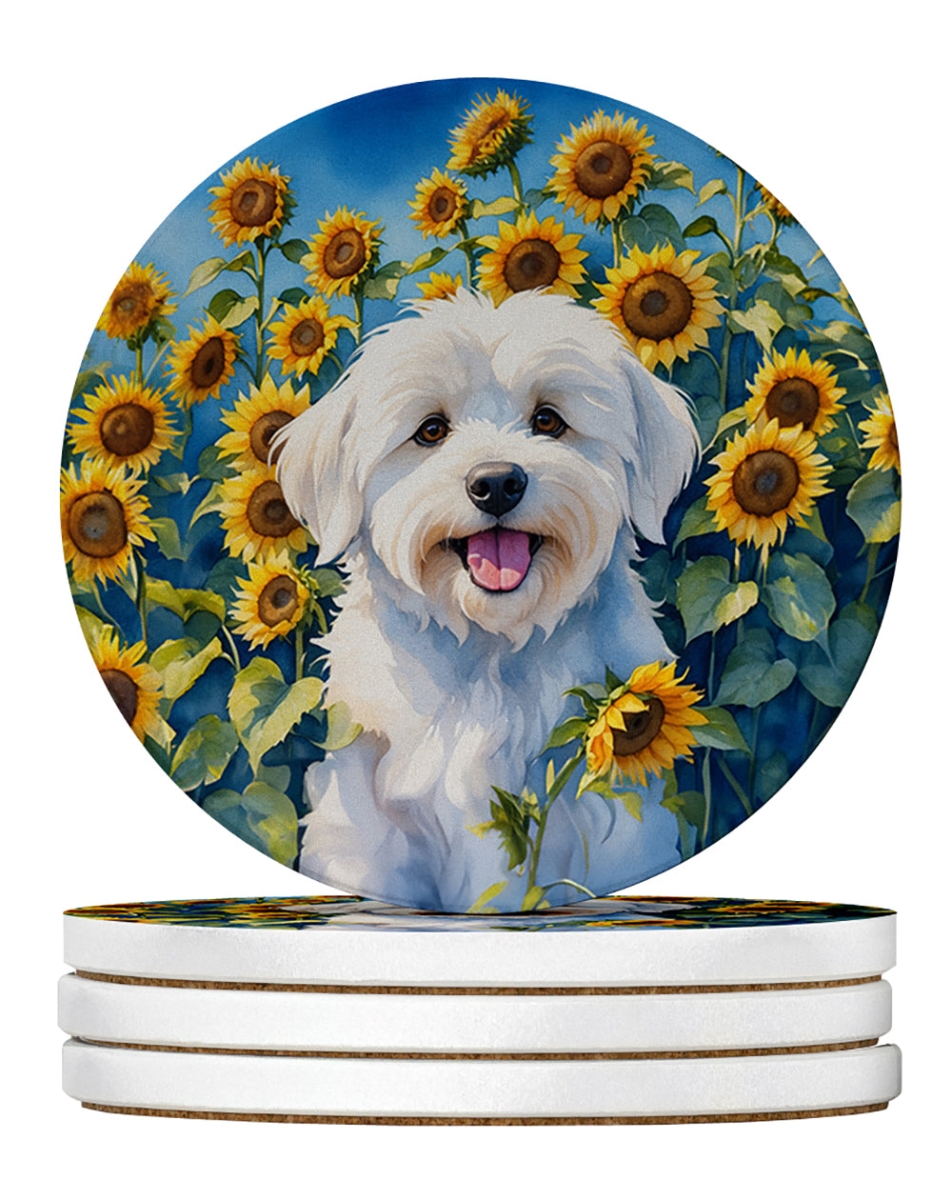 DAC6063RCS4 4 x 4 in. Coton de Tulear in Sunflowers Sandstone Coasters - Large - Pack of 4