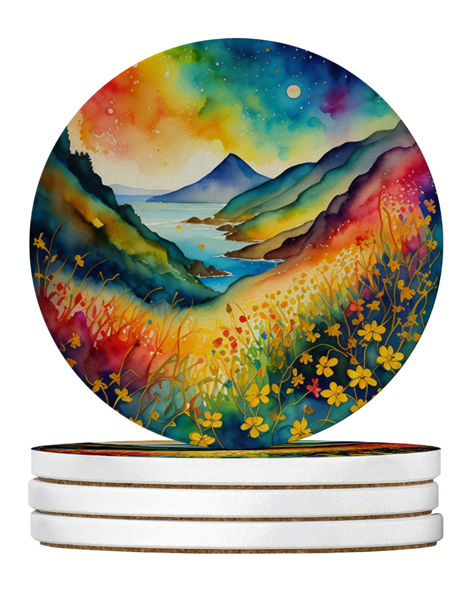 DAC1966RCS4 4 x 4 in. Colorful Hypericum or St. Johns Wort Sandstone Coasters - Large - Pack of 4