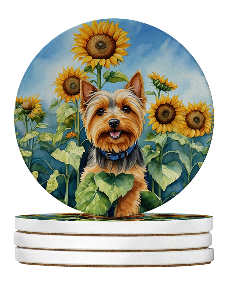 DAC6165RCS4 4 x 4 in. Silky Terrier in Sunflowers Sandstone Coasters - Large - Pack of 4