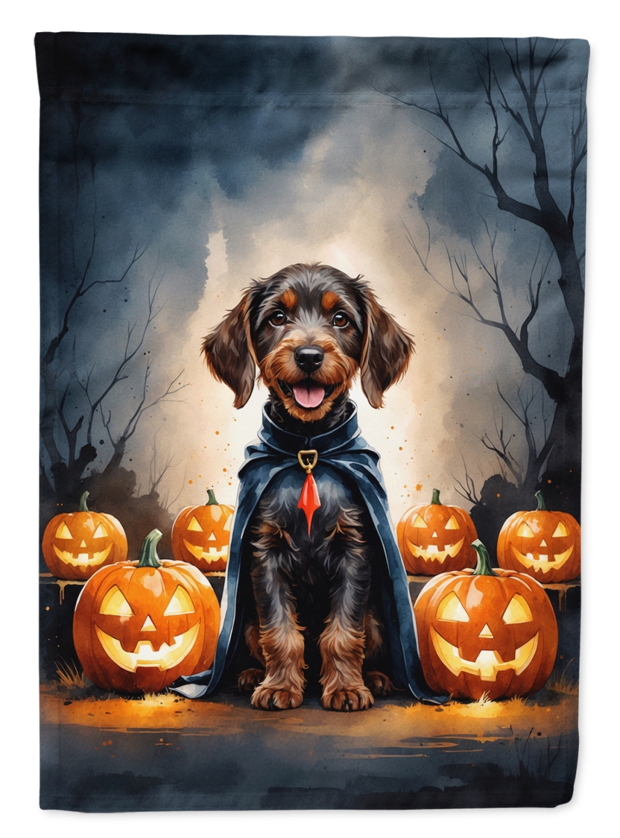 DAC8422CHF 40 x 28 in. German Wirehaired Pointer Puppy Halloween House Flag
