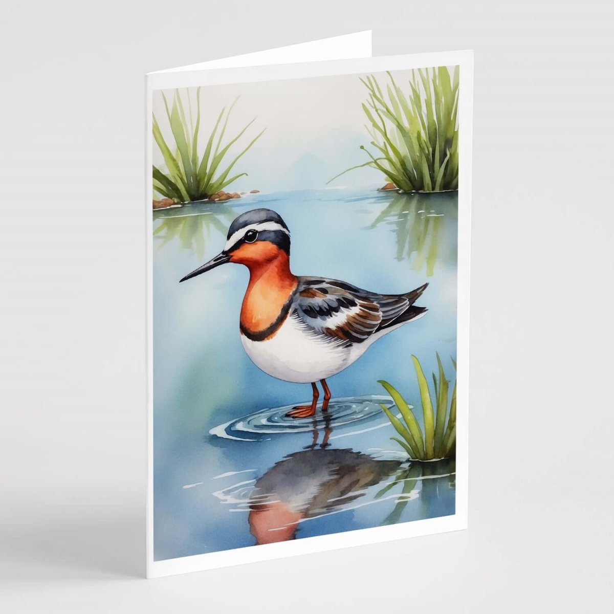 DAC8564GCA7P 5 x 7 in. Red-necked Phalarope Bird Greeting Cards - Pack of 8
