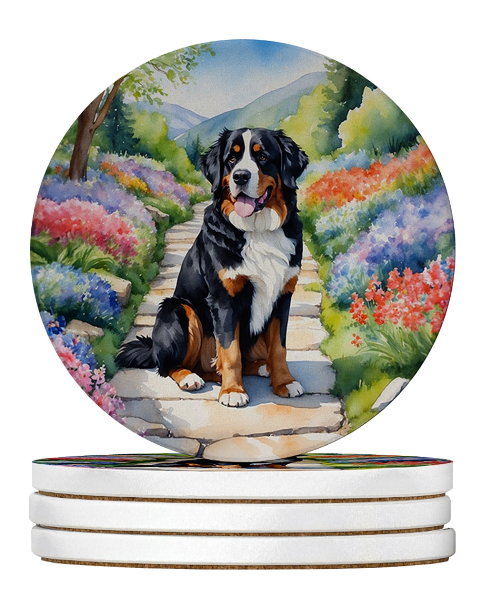 DAC6568RCS4 4 x 4 in. Bernese Mountain Dog Spring Path Sandstone Coasters - Large - Pack of 4