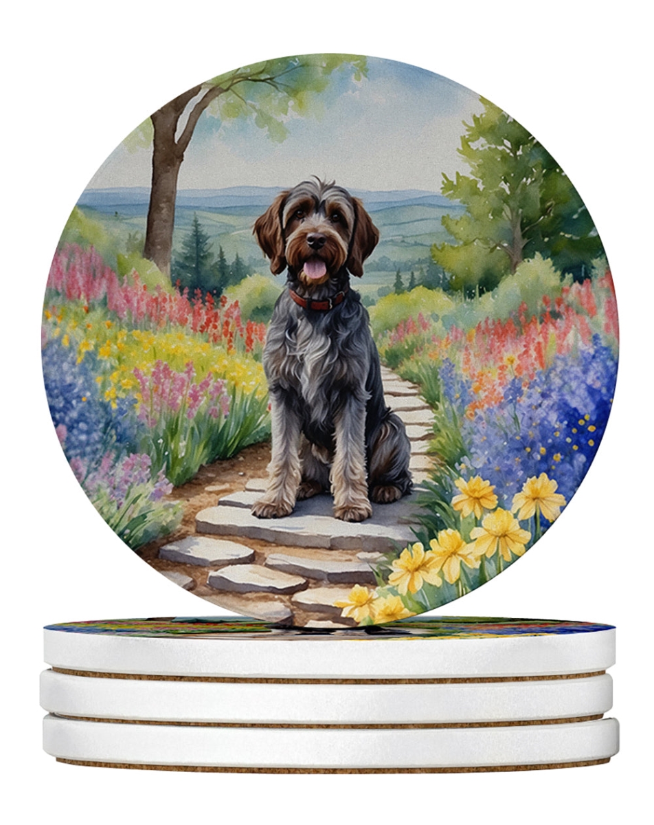 DAC6734RCS4 4 x 4 in. Wirehaired Pointing Griffon Spring Path Sandstone Coasters - Large - Pack of 4