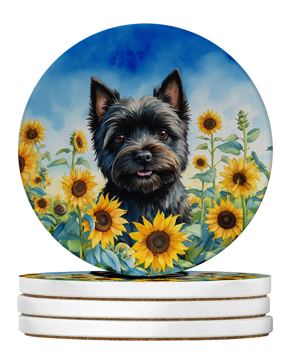 DAC6043RCS4 4 x 4 in. Cairn Terrier in Sunflowers Sandstone Coasters - Large - Pack of 4