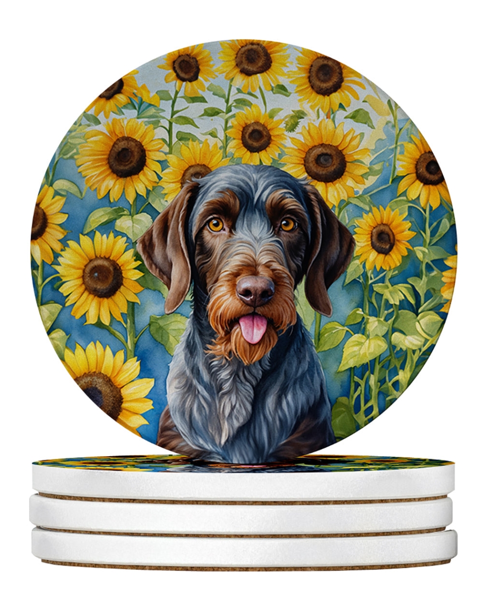DAC6086RCS4 4 x 4 in. German Wirehaired Pointer in Sunflowers Sandstone Coasters - Large - Pack of 4