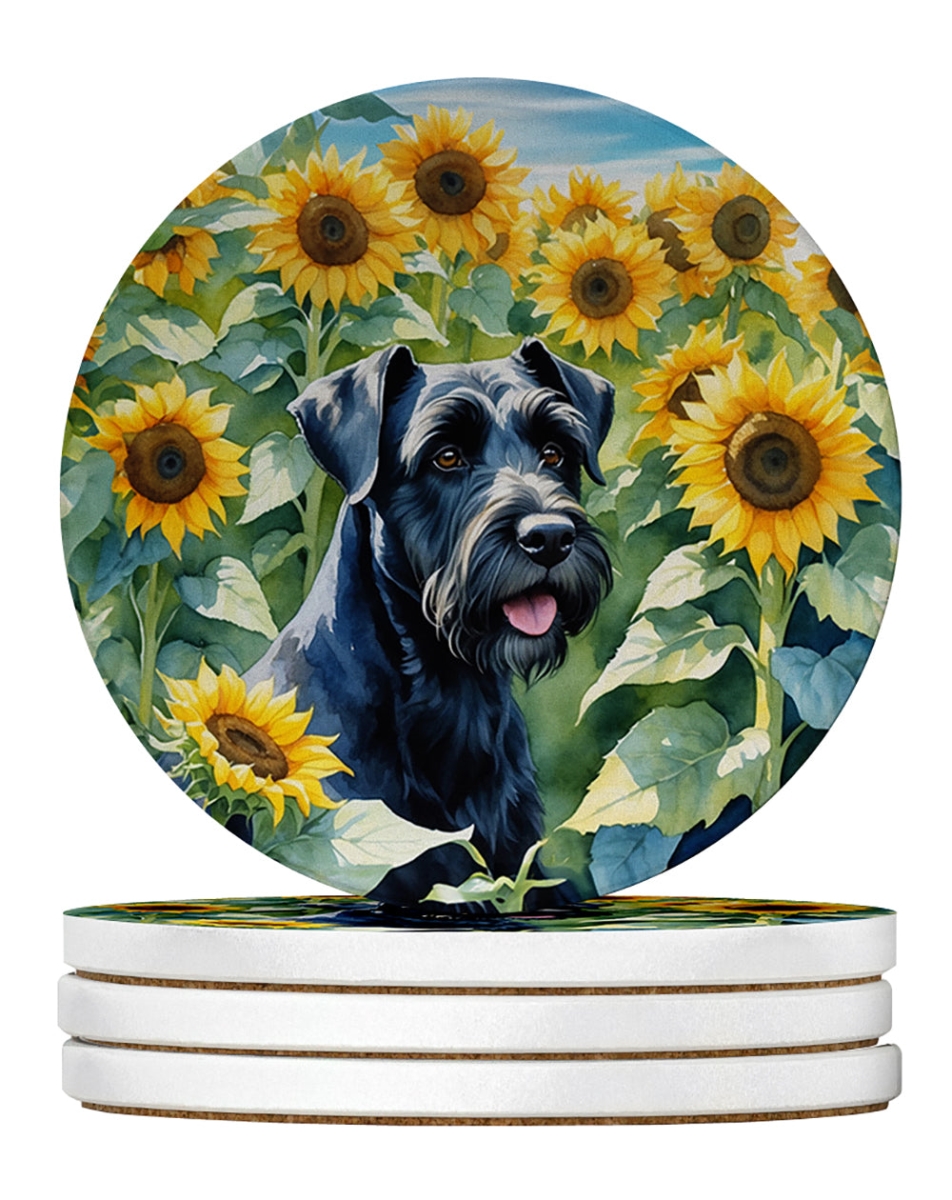 DAC6087RCS4 4 x 4 in. Giant Schnauzer in Sunflowers Sandstone Coasters - Large - Pack of 4